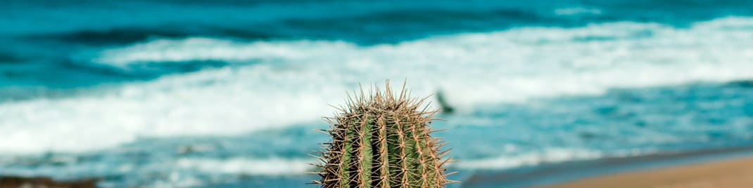 Cabo San Lucas Image