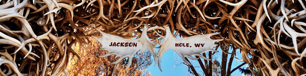 Jackson Hole image