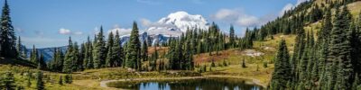 Mount Rainier Image