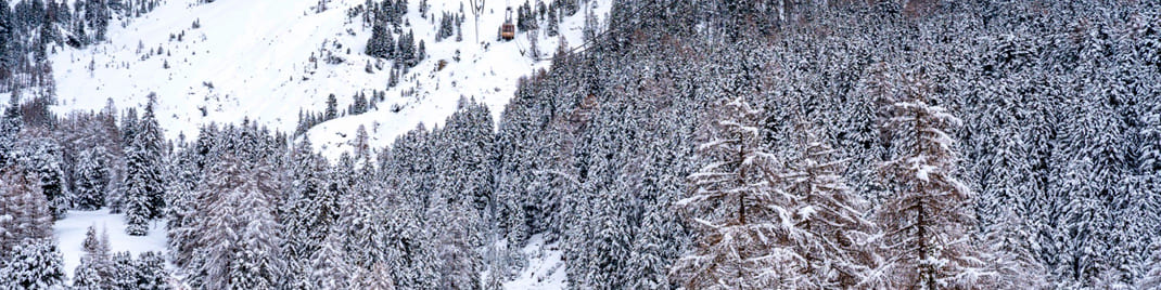 Snoqualmie Pass Image